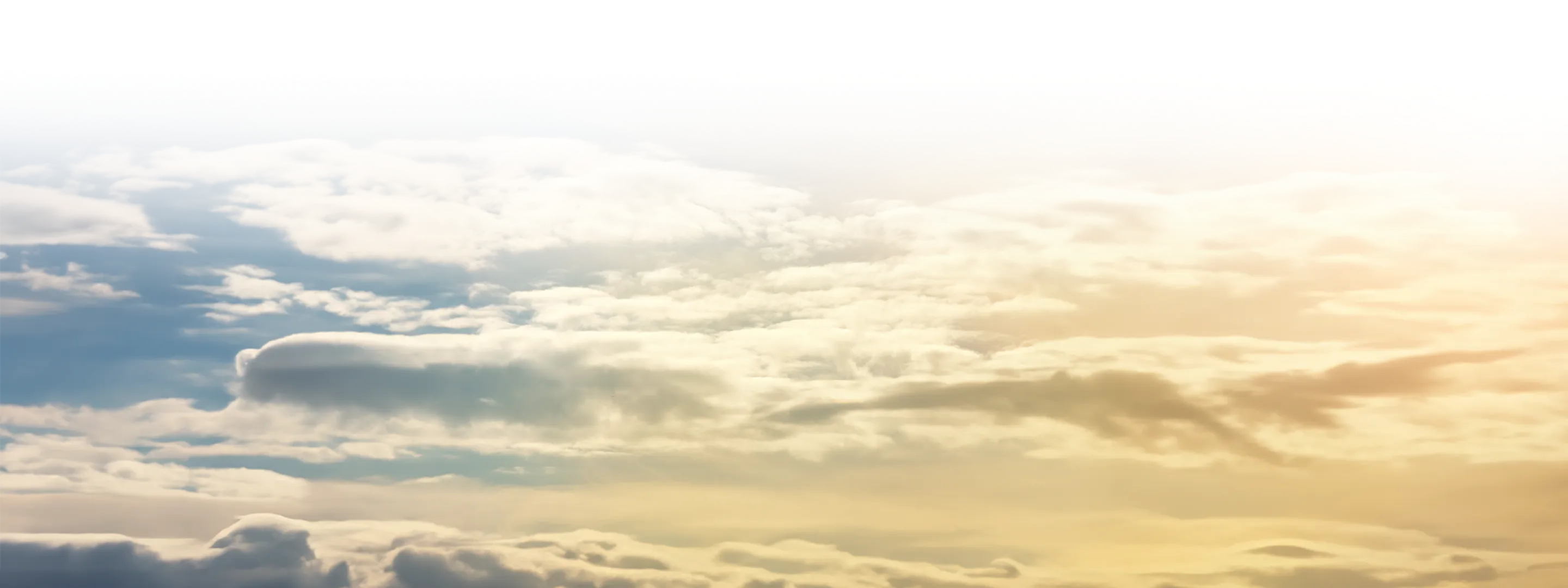 世久營造探勘工程股份有限公司